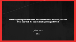 Rooted In God's Word  PowerPoint image 2