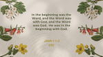 Rooted In God's Word Nature  PowerPoint image 2