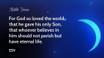 The Hope of Christmas  PowerPoint image 3