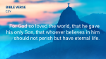 He is Risen: Rio  PowerPoint Photoshop image 2