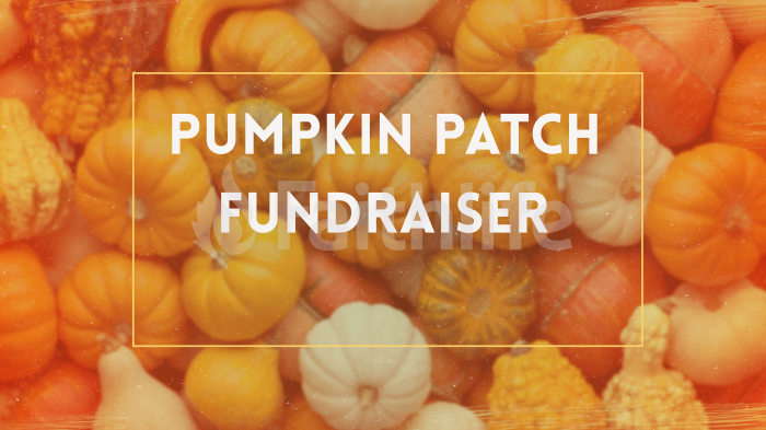 Pumpkin Patch Fundraiser large preview