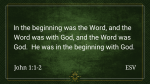 Prince Of Peace  PowerPoint image 4