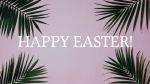 Palm Leaves Pink  PowerPoint Photoshop image 1