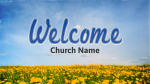 Dandelion-Field  PowerPoint image 2