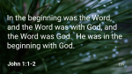Pine Needle  PowerPoint image 3