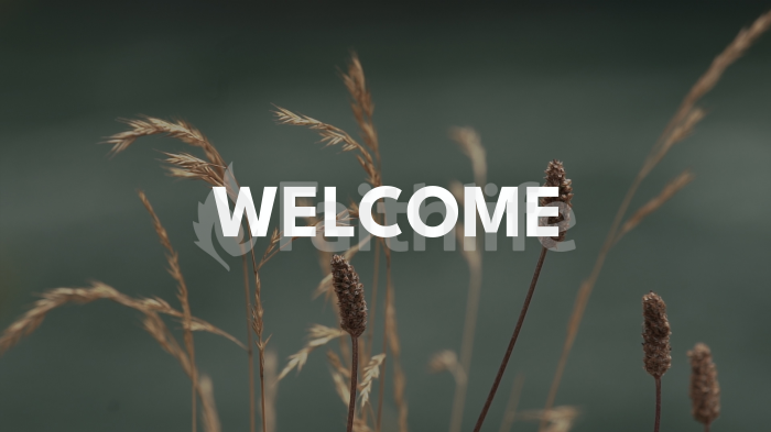 Normal Wildgrass large preview