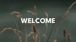 Normal Wildgrass  PowerPoint Photoshop image 1