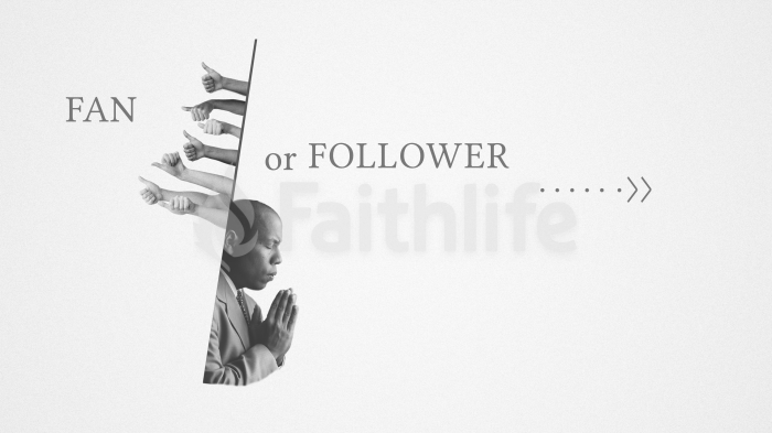 Fan or Follower large preview